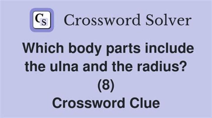 Bone that parallels the radius Crossword Clue