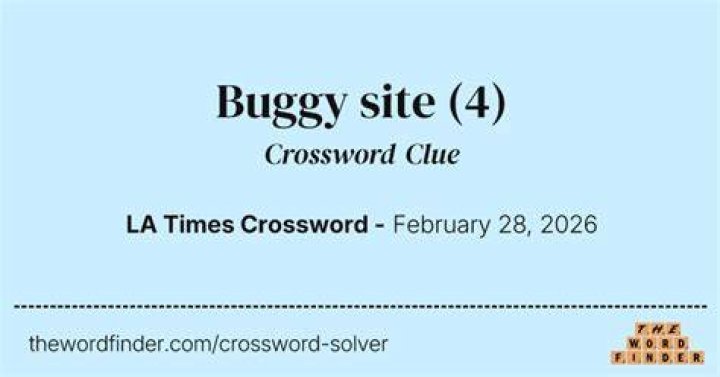 Buggy area Crossword Clue