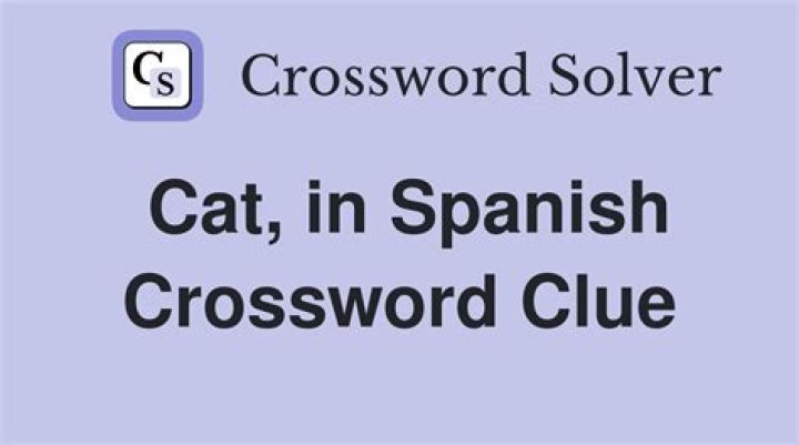 Cat: Sp. Crossword Clue