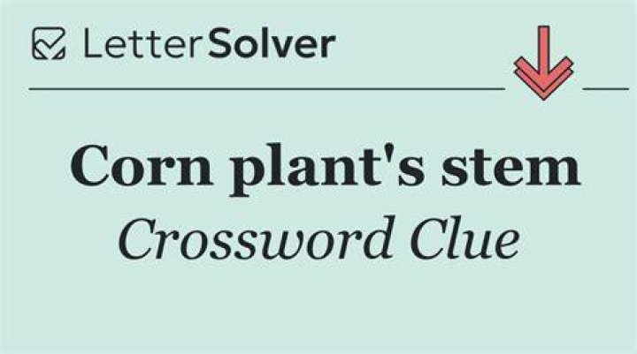 Corn on the ___ Crossword Clue