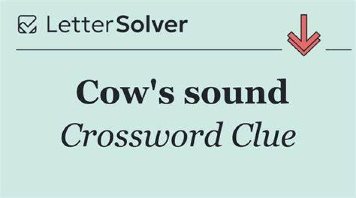 Cow’s sound Crossword Clue