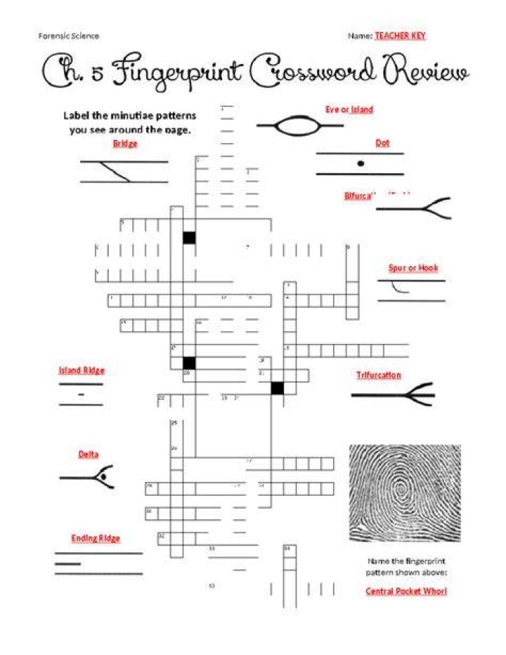Forensic science subject Crossword Clue