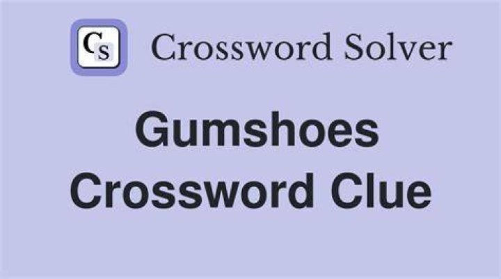 Gumshoes Crossword Clue