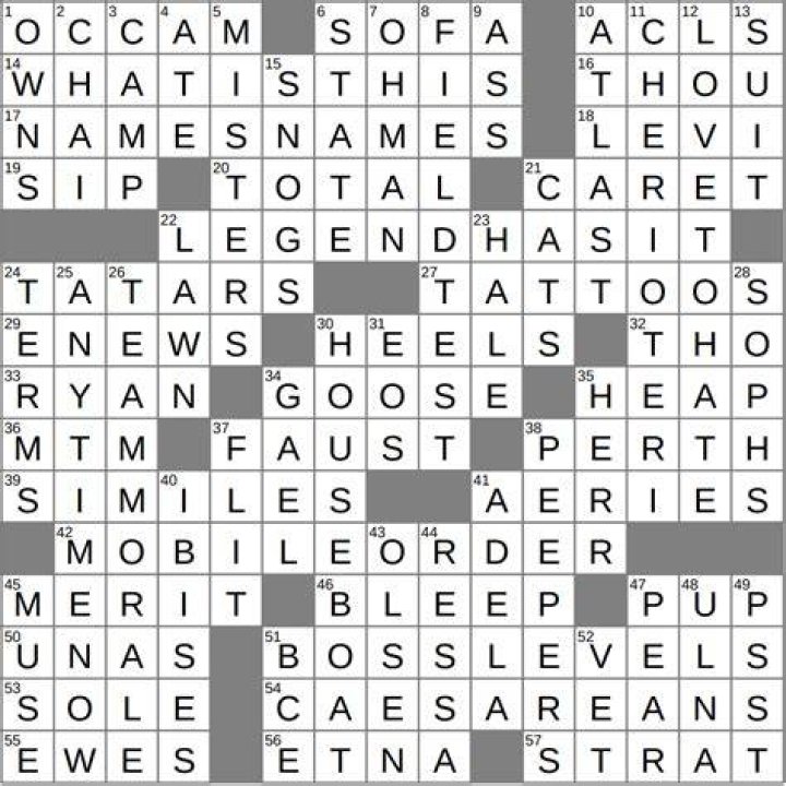 Hitch, say Crossword Clue