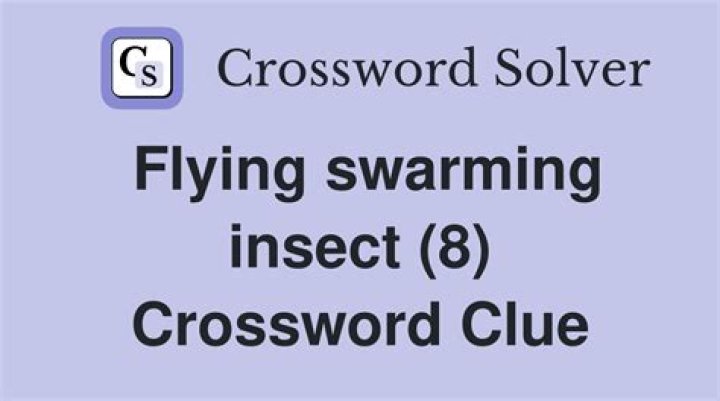 Insect flying in a cloud Crossword Clue