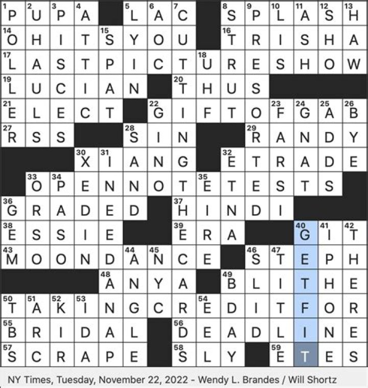 Moth’s cocoon phase Crossword Clue