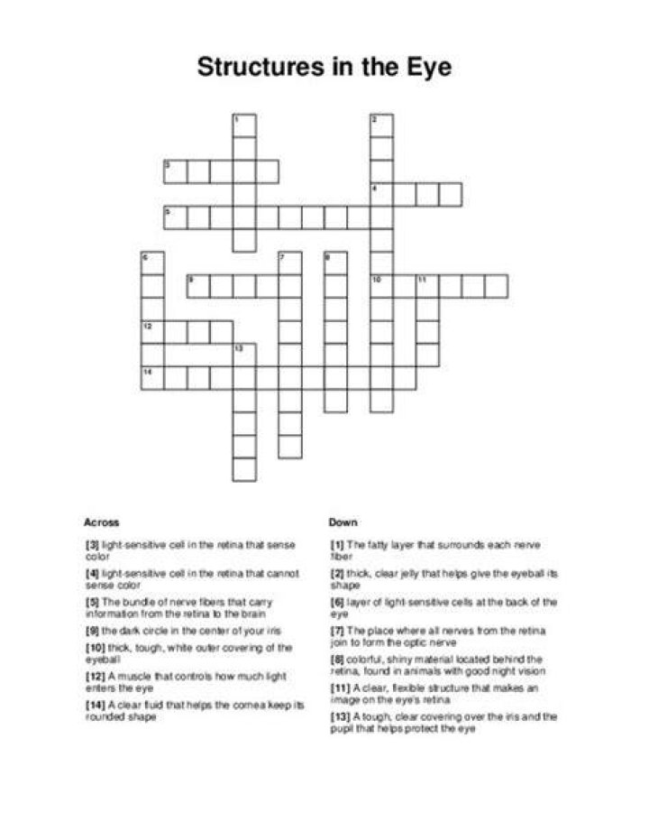 Outer layer of the eyeball Crossword Clue