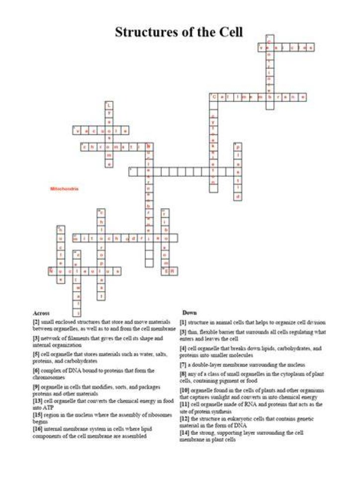 Poor cell connection? Crossword Clue