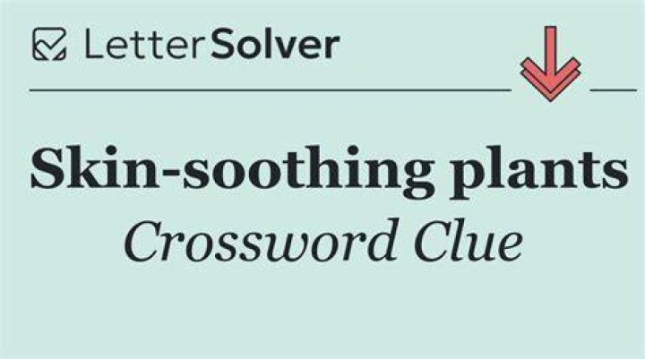 Skin-soothing succulent Crossword Clue