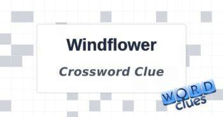 Windflower Crossword Clue